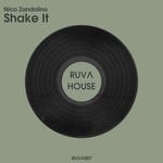 cover: Nico Zandolino - Shake It