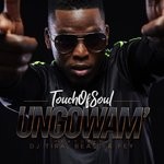 cover: Beast|Fey|Touch Of Soul Feat Dj Tira - Ungowam'