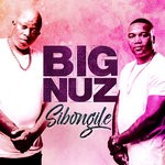 cover: Big Nuz - Sibongile