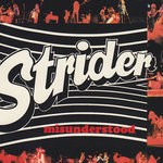 cover: Strider - Misunderstood