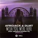 cover: Afrojack|Brandyn Burnette - Wish You Were Here (Remixes)