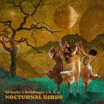 cover: Al'tarba|K.d.s|Stabfinger - Nocturnal Birds (CDC10)