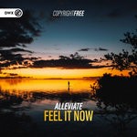 cover: Alleviate - Feel It Now (Extended Mix)