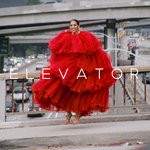 cover: Gavin Turek - Elevator