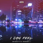 cover: Bridgey-b|Nobody - I Can Feel