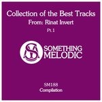 cover: Rinat Invert - Collection Of The Best Tracks