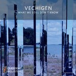 cover: Vechigen - What We Still Don't Know