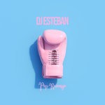 cover: Dj Esteban - Pop Revenge