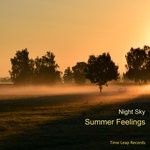 cover: Night Sky - Summer Feelings