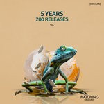 cover: Various - 5 Years & 200 Releases