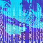 cover: Sunrise Blvd - No More