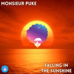 cover: Monsieur Puke - Falling In The Sunshine