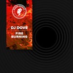 cover: Dj Dove - Fire Burning