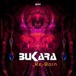 cover: 8ukara - Re-Born