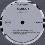 cover: Pushguy - Limpid EP