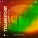 cover: Raquemardon Records - Reggae Riddim Instrumental Transpose