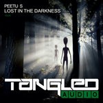 cover: Peetu S - Lost In The Darkness