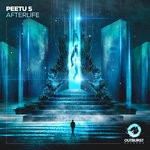 cover: Peetu S - Afterlife