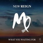 cover: New Reign - What You Waiting For