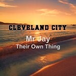 cover: Mr Jay - Their Own Thing