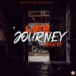 cover: G Macoy - Life Journey