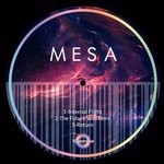 cover: Mesa - Internal Flight