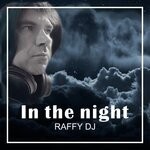 cover: Raffy Dj - In The Night