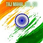 cover: Various - Taj Mahal Vol 28