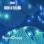 cover: Indigo - Such A Feeling (Original Mix)