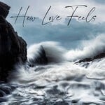 cover: Various - How Love Feels