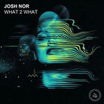 cover: Josh Nor - What 2 What (Remixes)