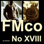 cover: Johannes Schimpelsberger - FMco No XVIII Apr 2021/44