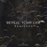 cover: Kamikaze|Lazy Ann - Reveal Your Life