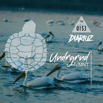 cover: Diariuz - Undrgrnd Mvmnt