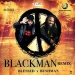 cover: Bushman - Black Man Remix (Acoustic)