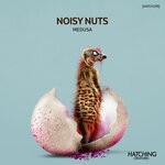 cover: Noisy Nuts - Medusa