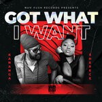 cover: Kananga|Sherece - Got What I Want (Explicit)