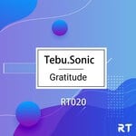 cover: Tebusonic - Gratitude