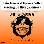 cover: Tommie Cotton - Reaching Up High (Remixes)