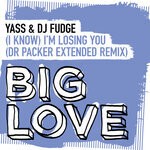 cover: DJ Fudge|YASS - (I Know) I'm Losing You (Dr Packer Extended Remix)