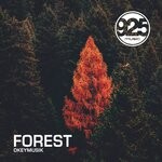 cover: Dkeymusik - Forest