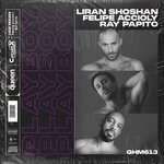 cover: Liran Shoshan Feat Felipe Accioly|Ray Papito - Playboy (Remixes)