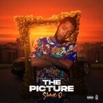 cover: Countree Hype|Shane O - The Picture