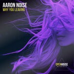 cover: Aaron Noise - Why You Leaving