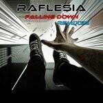 cover: Anna - Falling Down (Remixes)