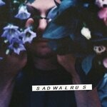 cover: Sad Walrus - Dance