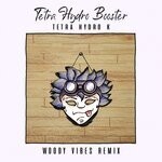 cover: Tetra Hydro K - Tetra Hydro Booster (Woody Vibes Remix)