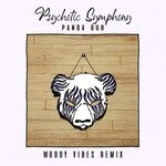 cover: Panda Dub - Psychotic Symphony (Woody Vibes Remix)