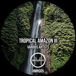 cover: Diego Arias|Go-z|Hod|Jose Monsalve|Julianbo|Space Sound - Tropical Amazon III