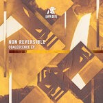 cover: Non Reversible - Coalescence EP